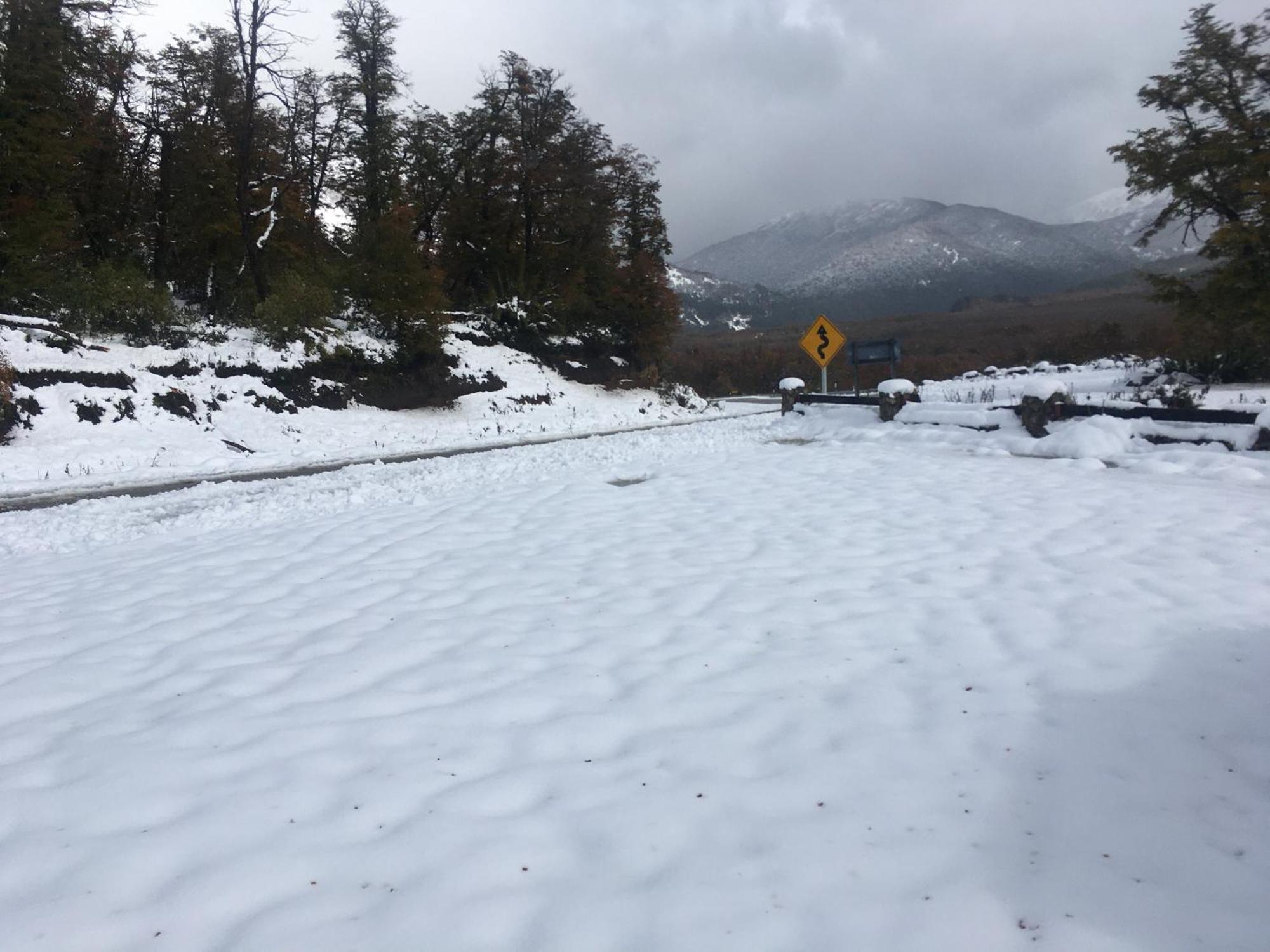 Rahue, Monoambiente Centrico Con Patio Propio Daire San Martín de los Andes Dış mekan fotoğraf