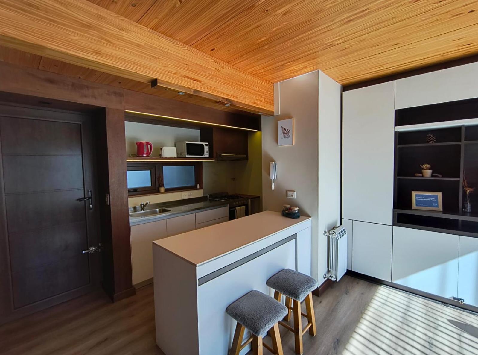 Rahue, Monoambiente Centrico Con Patio Propio Daire San Martín de los Andes Dış mekan fotoğraf